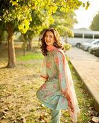 3 pc lawn dress